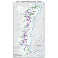 Le vignoble alsacien du VIIe au XIXe - Typologie 0