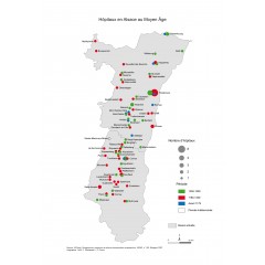 Hôpitaux en Alsace au Moyen Âge