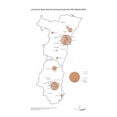 Les Turcs en Alsace (2003)