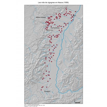 Les nids de cigognes en Alsace en 1956 Les nids de cigognes en Alsace en 1956