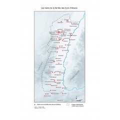 Die Güter der elsässischen Herzoge im 8. Jahrhundert